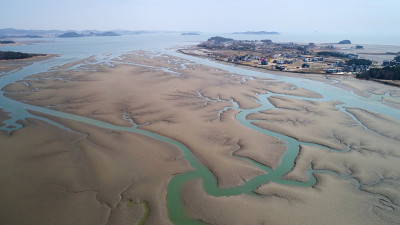 泥浆平