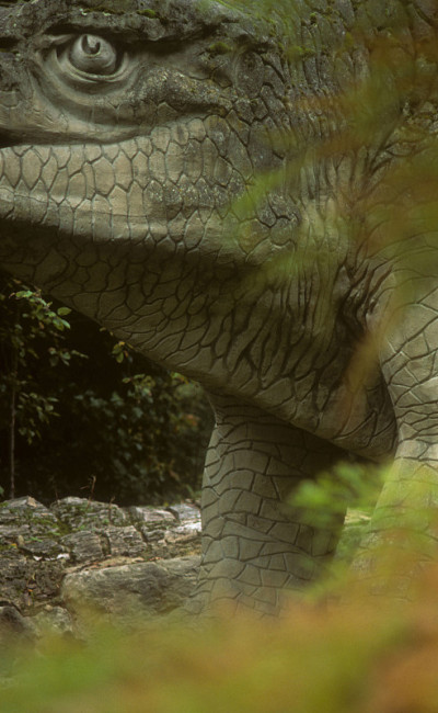 Dinosaur-Crystal宫公园