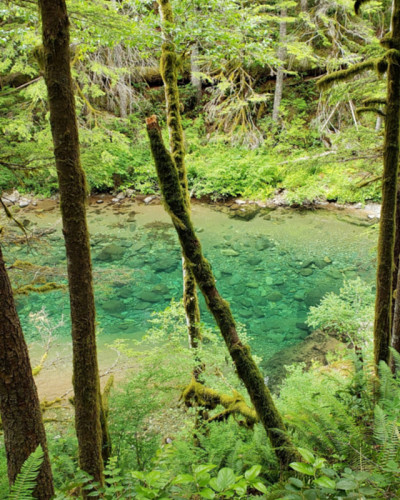 透明的流