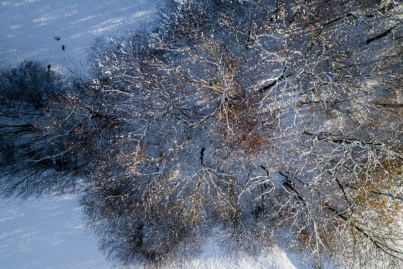 空中的冬季仙境与下奥地利雪林的嗡嗡声