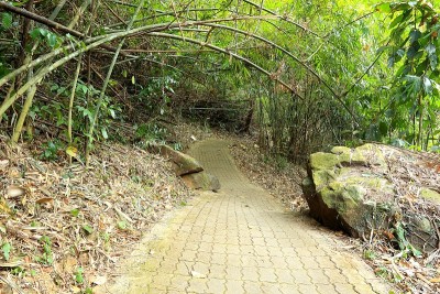 竹隧道