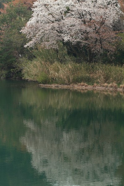 春池