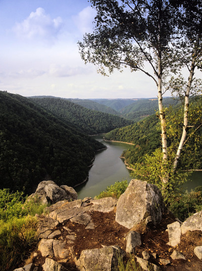 auvergne