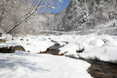 冰雪覆盖的冬季森林和小溪(荻田山国家公园，江原道，韩国)