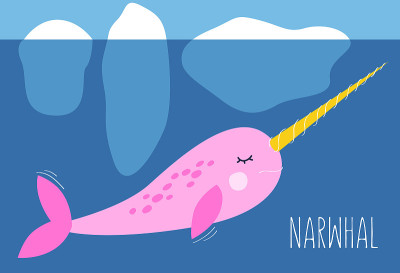 Narwhal