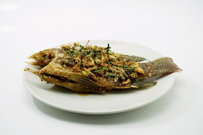 干烧鱼