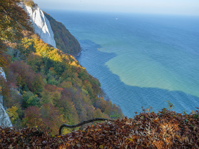 鲁根岛
