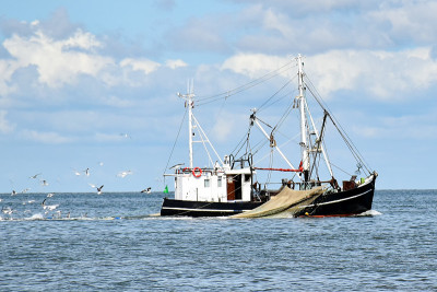 在北弗里斯兰(德国)附近的北海捕鱼Büsum