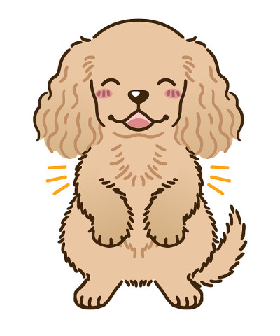 美国可卡犬微笑(红色)