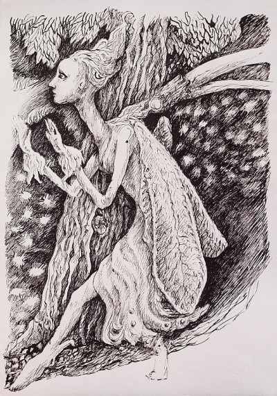 精灵精灵，神奇的森林生物