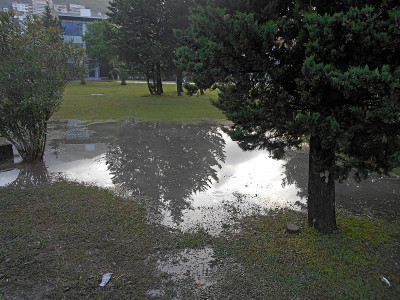 暴风雨过后，公园被淹了
