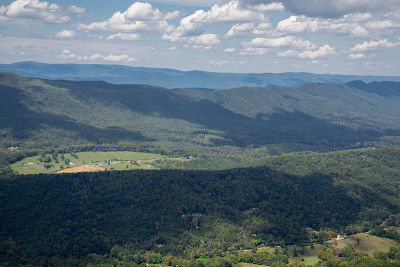 山