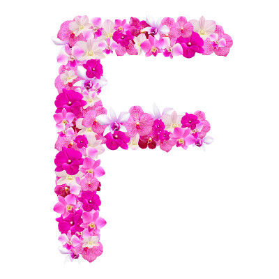 来自孤立于白色上的兰花花的字母F