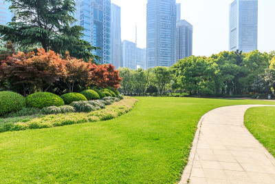 以现代商业建筑为背景的上海城市公园