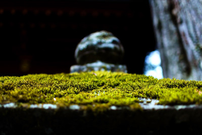 长满青苔的石灯笼
