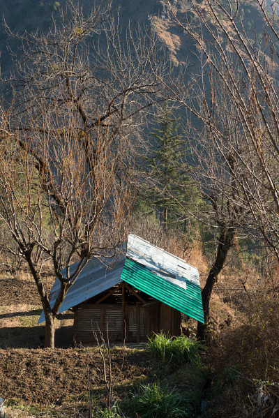 喜马拉雅山喜马偕尔的典型高山木屋