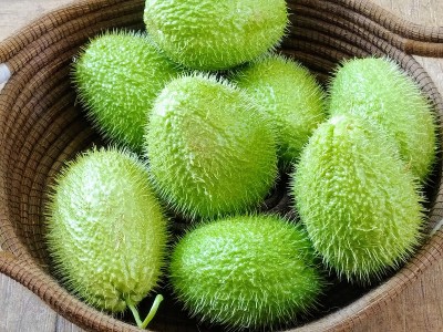 胡瓜棘手