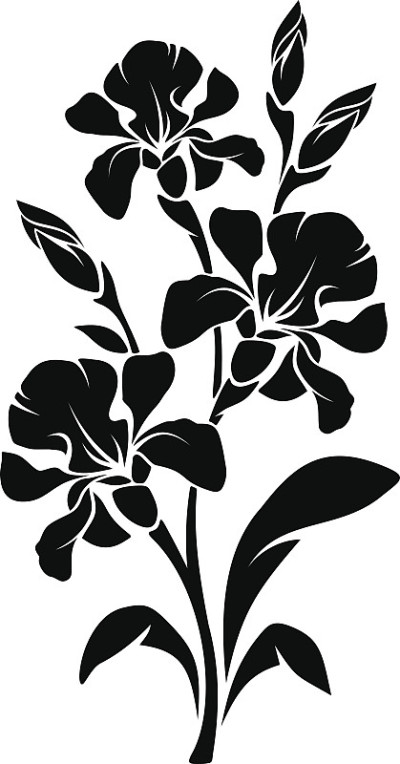 黑色的蝴蝶花剪影。矢量插图。