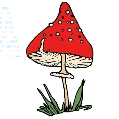 彩色手绘鹅膏菌剪贴画