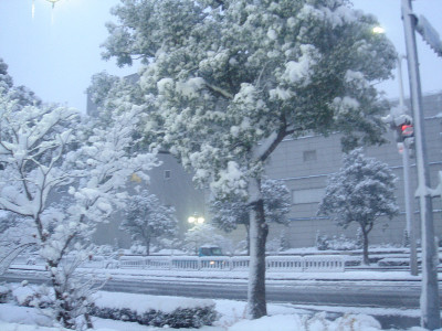 日本名古屋