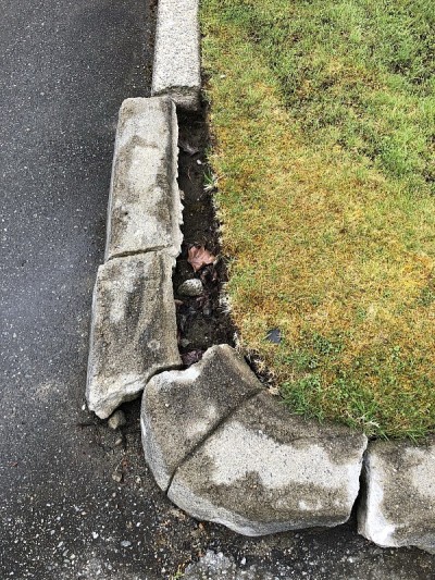 破碎的抑制地震