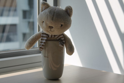 杯子里的小猫玩具坐在窗边的阴影里
