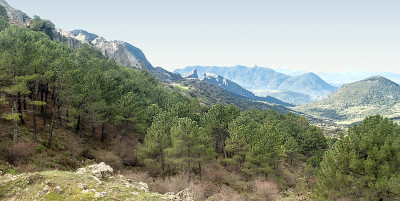 山Grazalema