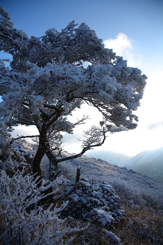 冬天的山