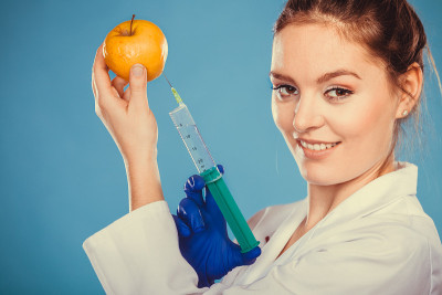 科学家医生给苹果注射。转基因食品。