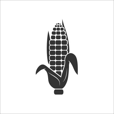 玉米图标。白色矢量图