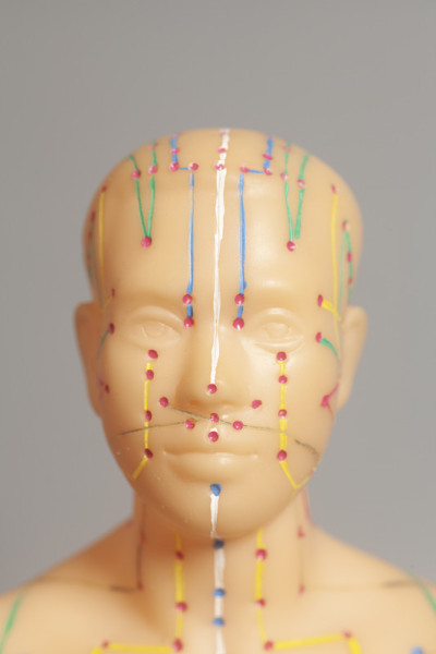 人体针灸医学模型