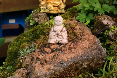 森林，Hallasan，山谷，石头，苔藓门，苔藓楼梯，苔藓，寺庙，Hyonom，