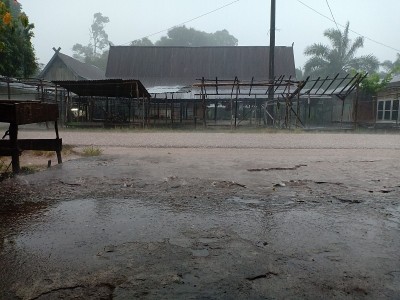 雨