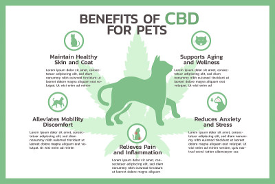 CBD对宠物信息图表的好处