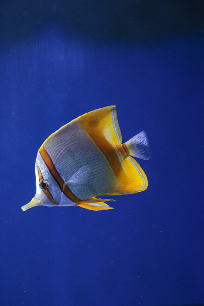 水族馆
