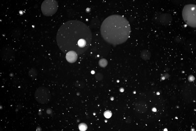 大雪在夜空的黑色背景上飞舞