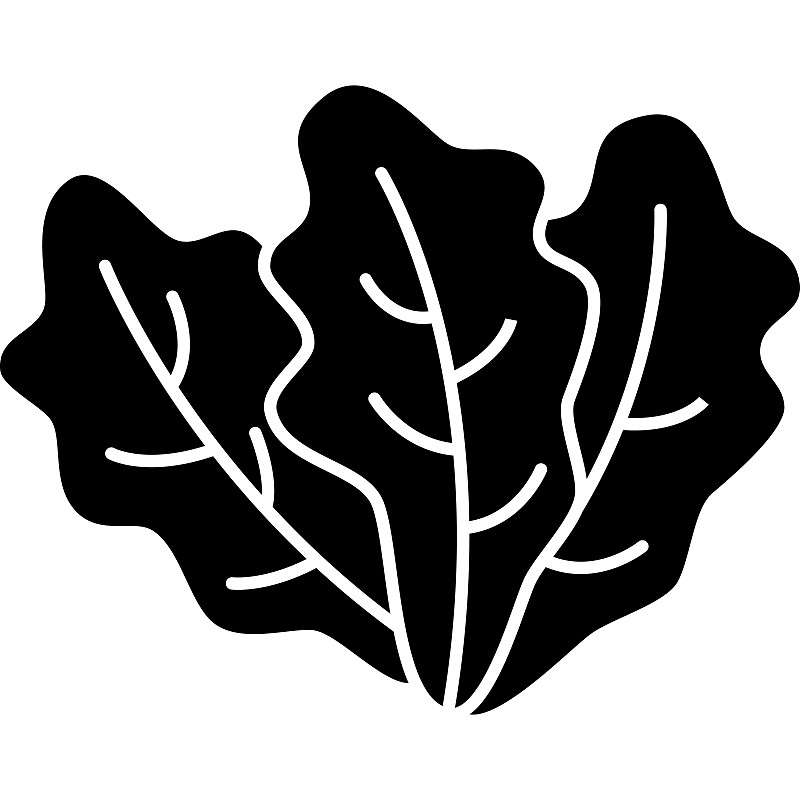 莴苣字形图标矢量