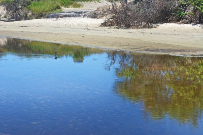海滩阳光和大海