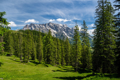 夏季高山景观，森林和山脉，Hochkoenig, Maria Alm, Dienten，萨尔茨堡，奥