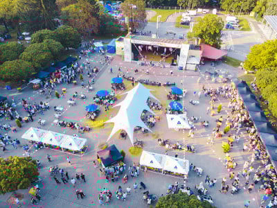 城市公园的音乐会。夏天的时间