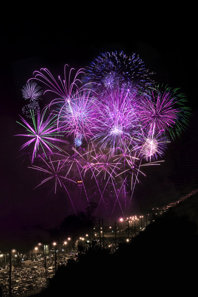 烟花照亮了夜空