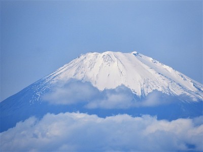 太FUJI2