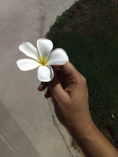 花