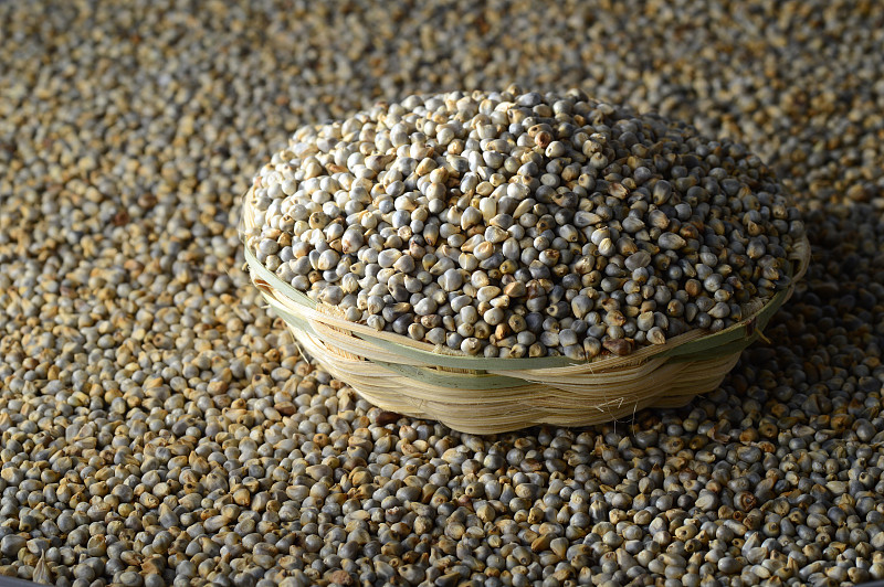 Bajra(珍珠粟)在木(竹)篮子里