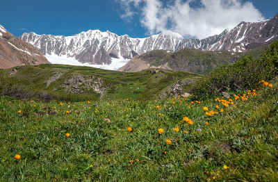 高山冰川雪花盛夏