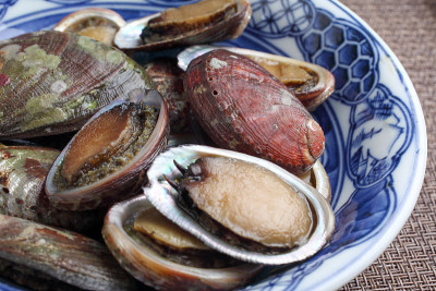 Simmered tokobusi
