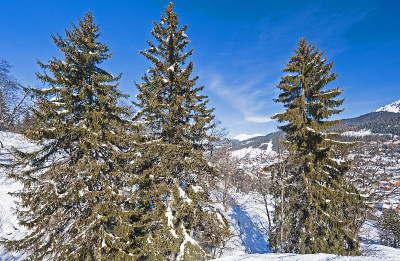 全景横跨冰雪覆盖的高山山脉