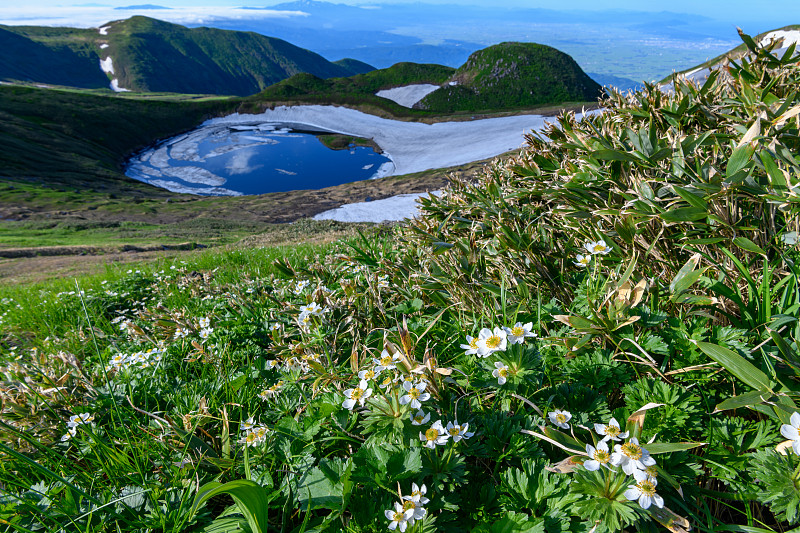 乔凯湖和高山植物在初夏