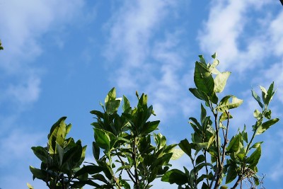 秋天的天空