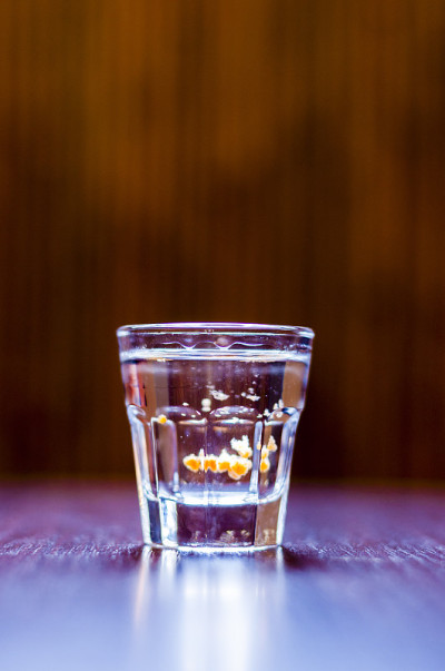 鸡尾酒龙舌兰红狗
